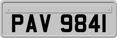 PAV9841