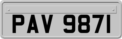 PAV9871