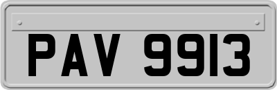 PAV9913
