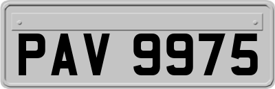 PAV9975