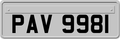 PAV9981