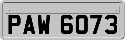 PAW6073