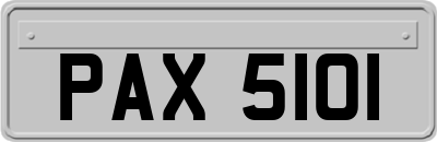 PAX5101