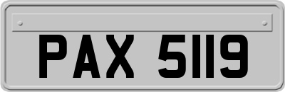 PAX5119