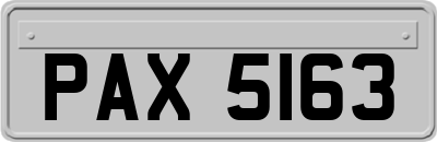 PAX5163
