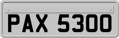 PAX5300
