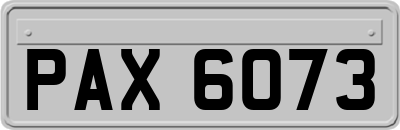 PAX6073