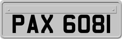 PAX6081