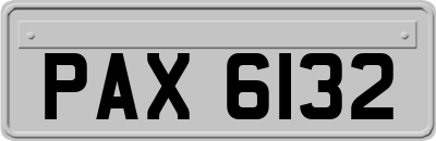 PAX6132