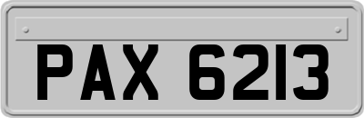 PAX6213