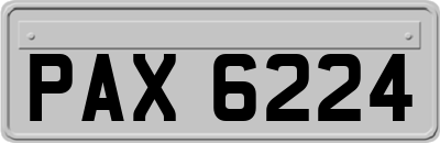 PAX6224