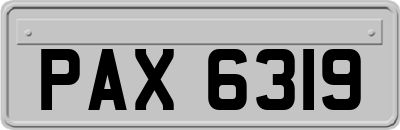 PAX6319
