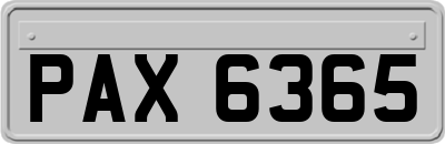PAX6365