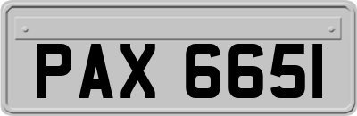 PAX6651
