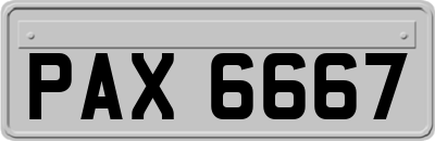 PAX6667