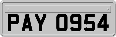 PAY0954