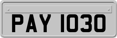 PAY1030