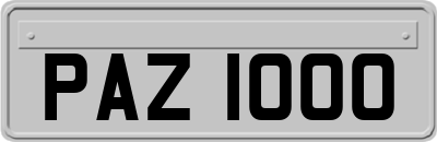 PAZ1000