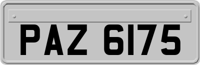 PAZ6175