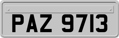 PAZ9713