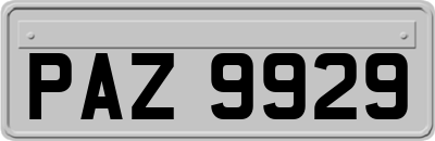 PAZ9929