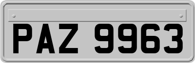 PAZ9963