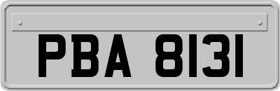 PBA8131