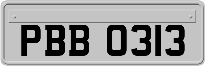 PBB0313