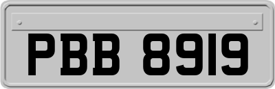 PBB8919