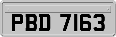 PBD7163