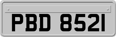 PBD8521