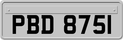 PBD8751