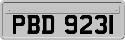 PBD9231