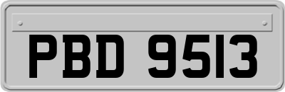 PBD9513