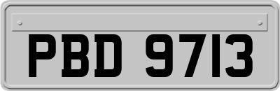 PBD9713