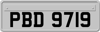 PBD9719