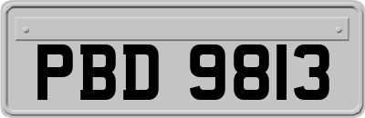 PBD9813