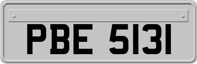 PBE5131