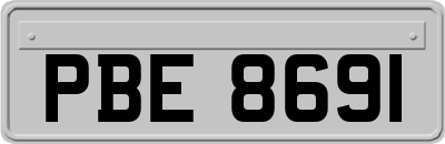 PBE8691