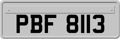 PBF8113