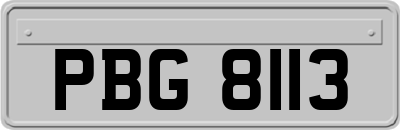 PBG8113