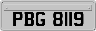 PBG8119