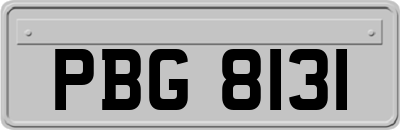 PBG8131