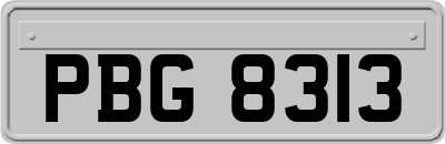 PBG8313