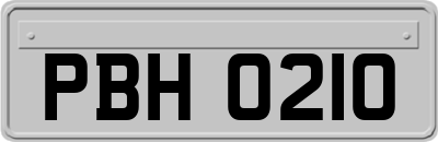 PBH0210