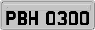 PBH0300