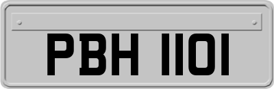 PBH1101