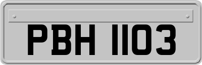 PBH1103