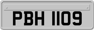 PBH1109