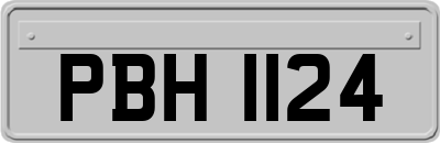 PBH1124